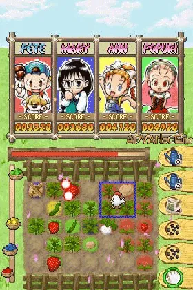 Puzzle de Harvest Moon (USA) screen shot game playing